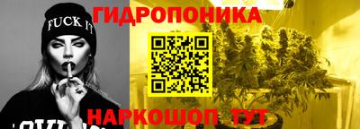 кокаин Гатчина
